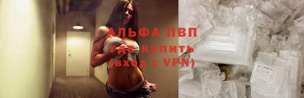шишки Ладушкин