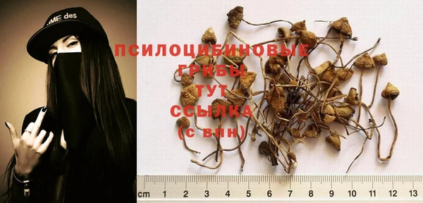 амф Лихославль