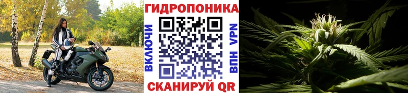 Купить  Галич  Шишки марихуана марихуана 